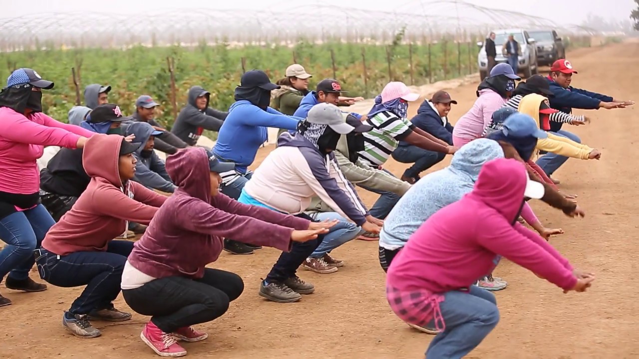 Apoyo, Orgullo y Recursos en los Ranchos de BerryMex
