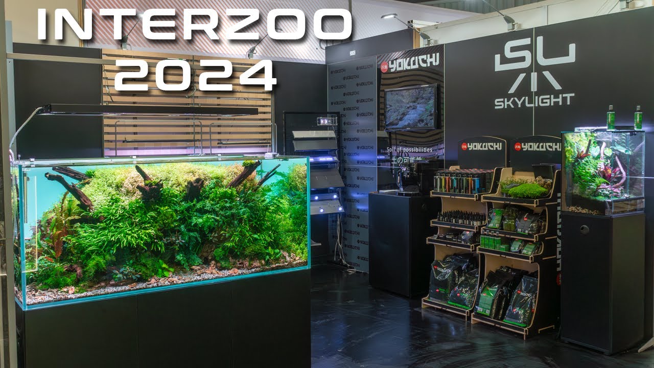 NAJŁADNIEJSZE AKWARIA NA TARGACH INTERZOO NORYMBERGA 2024
