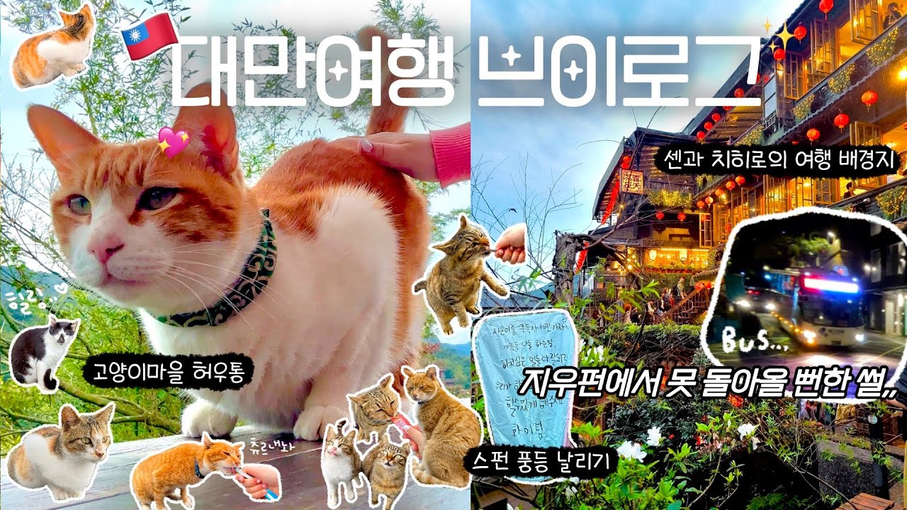 대만여행브이로그🇹🇼#2 지우펀에서 못 돌아올 뻔한 썰🤦🏻‍♀️고양이마을 허우통🐈 스펀에서 풍등 날리기! 이 모든걸 대중교통으로 가고싶다면?!💚(삼미식당, 닭날개볶음밥)