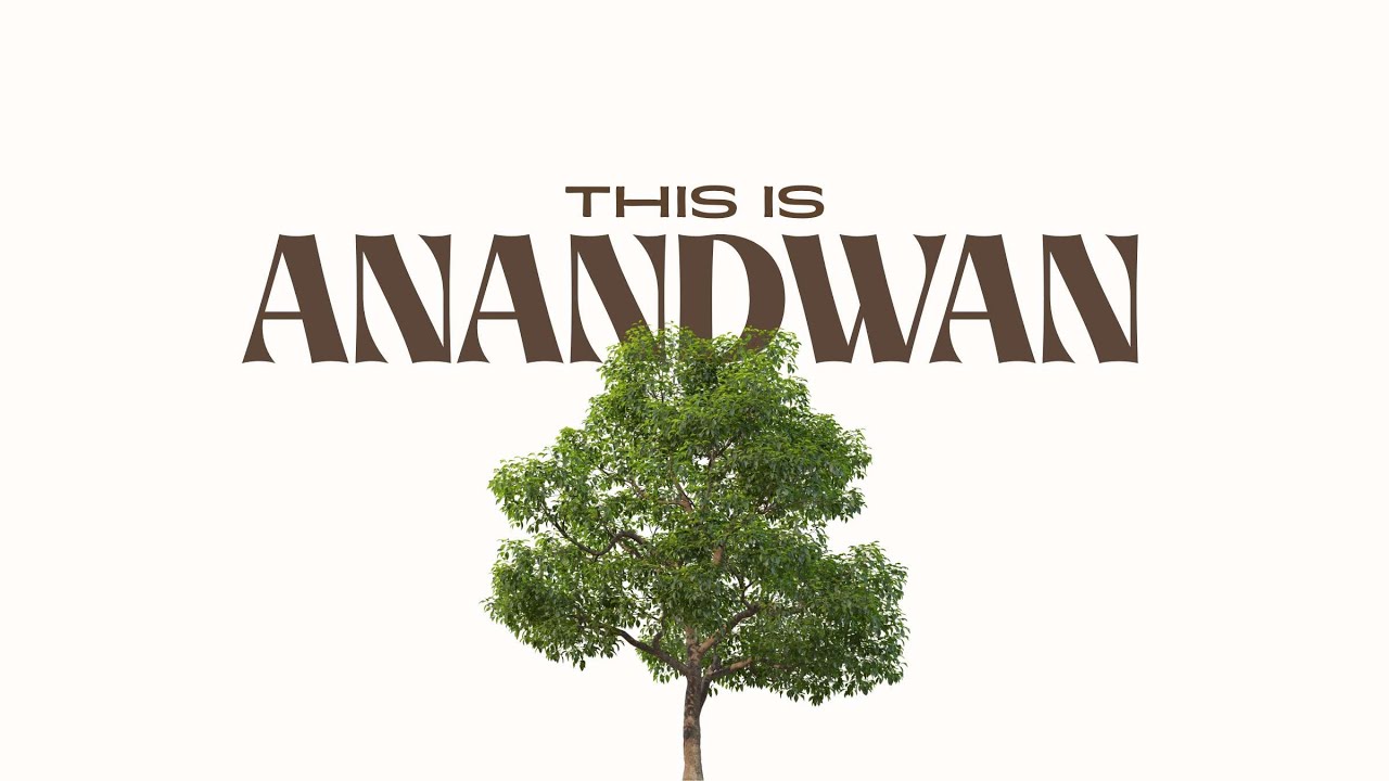 This is Anandwan