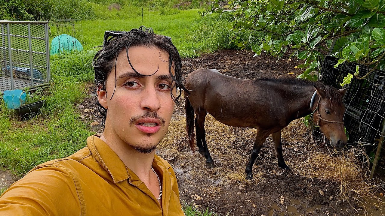 solo travelling on an island for 100 hours