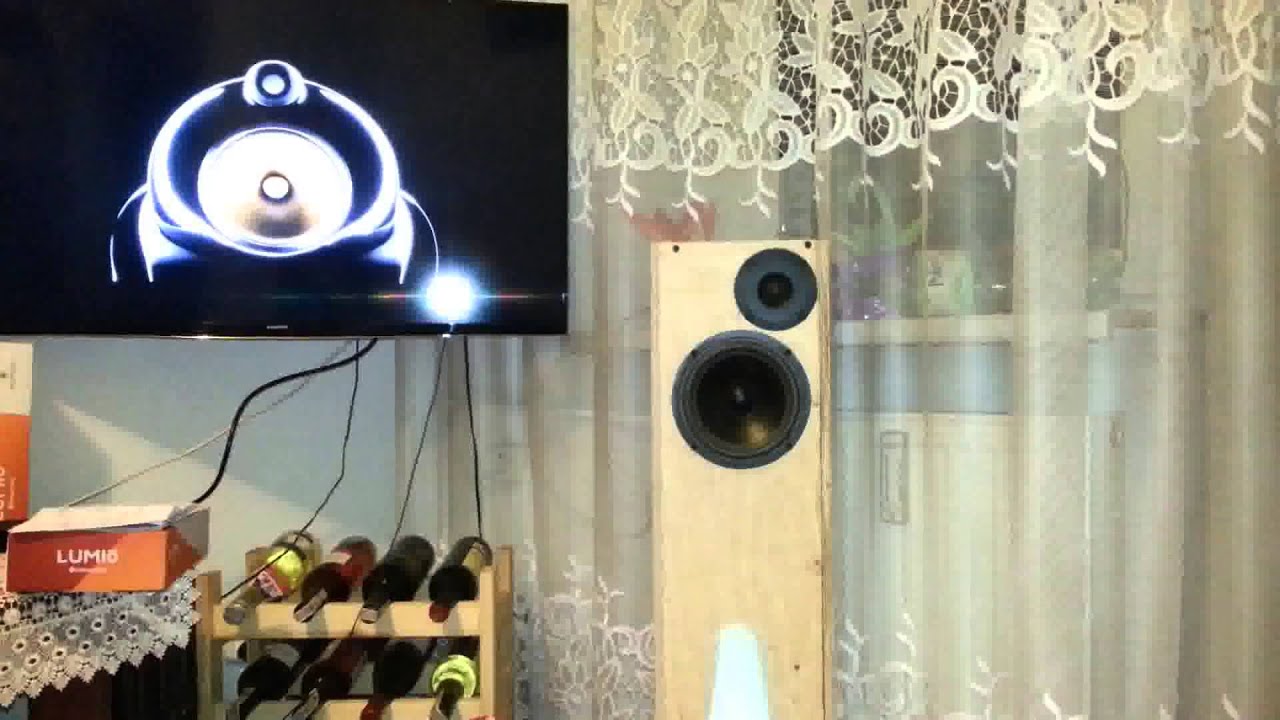 Linia Transmisyjna Vifa P17WG i Peerless SR-10 DIY