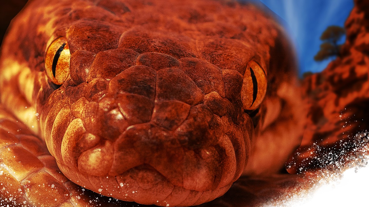 Most Snake Setups Get It Wrong — They Ignore Smell | Habitat-Driven Build