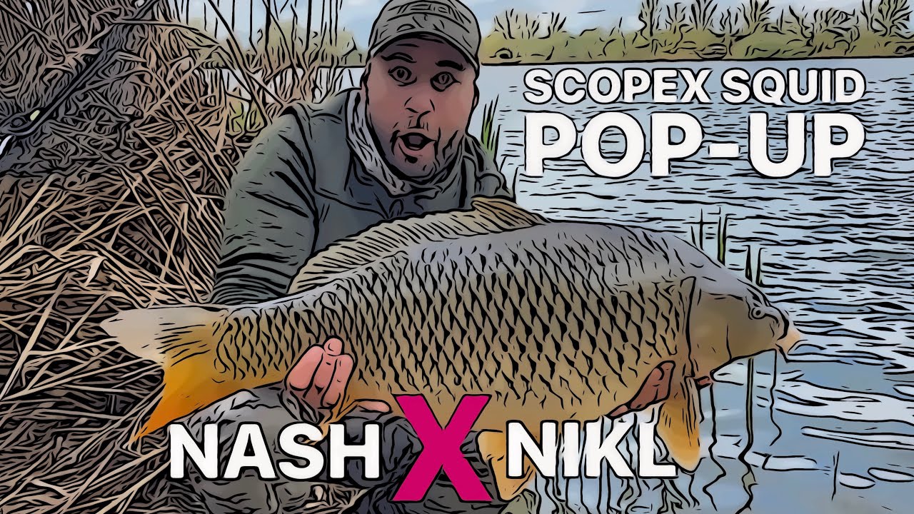 TEST BOILIES™ NASH X NIKL POP-UP SCOPEX SQUID - Pořádná jízda na skvělý pop-up! Miluju SCOPEX SQUID!