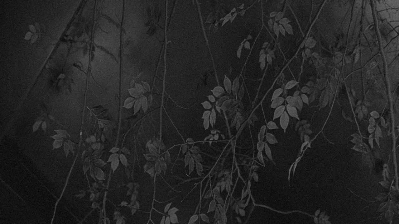 달콤한 꿈을 꾸었습니다. / 뉴에이지 playlist