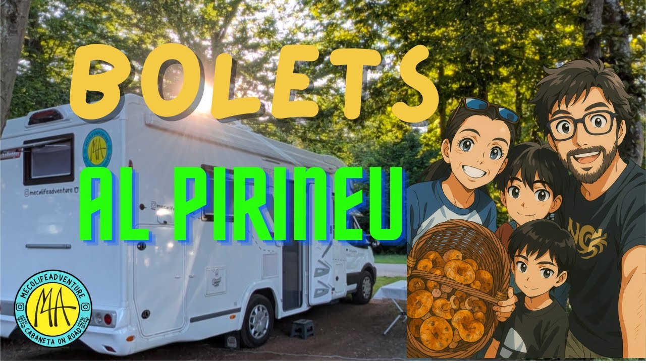🍄‍🟫BOLETS AL PIRINEU!!!🚐