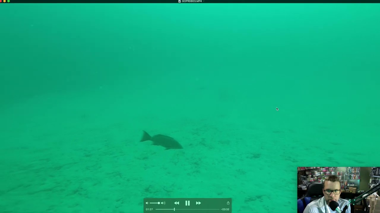 Сравнение подводного рельефа Мексиканского залива и дисплея эхолота