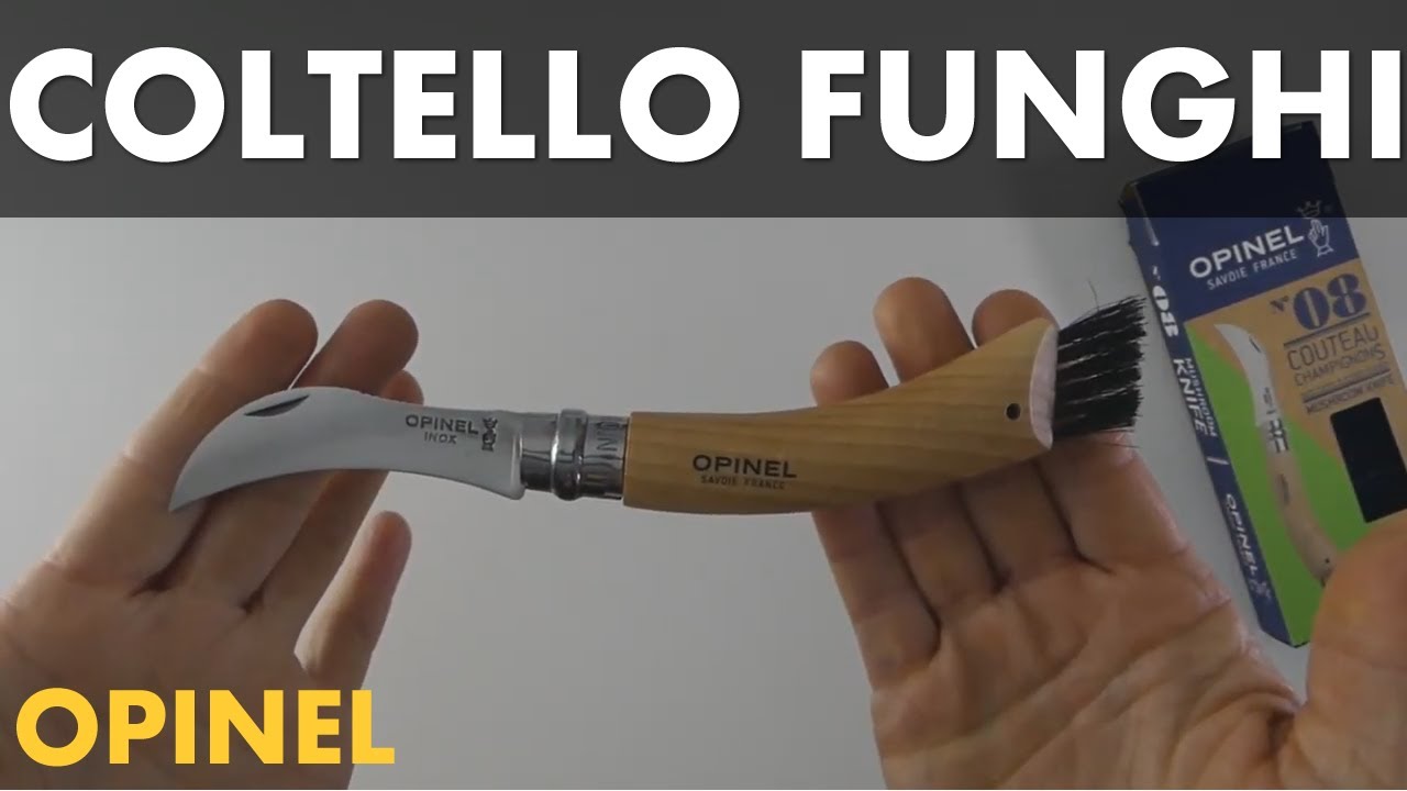 Coltello Opinel per funghi con lama inox