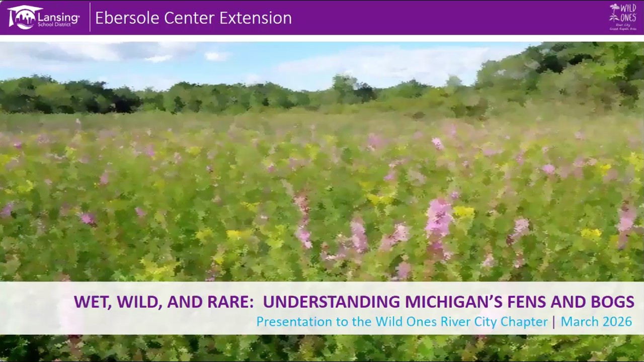 Wet, Wild & Rare: Understanding Michigan's Fens and Bogs