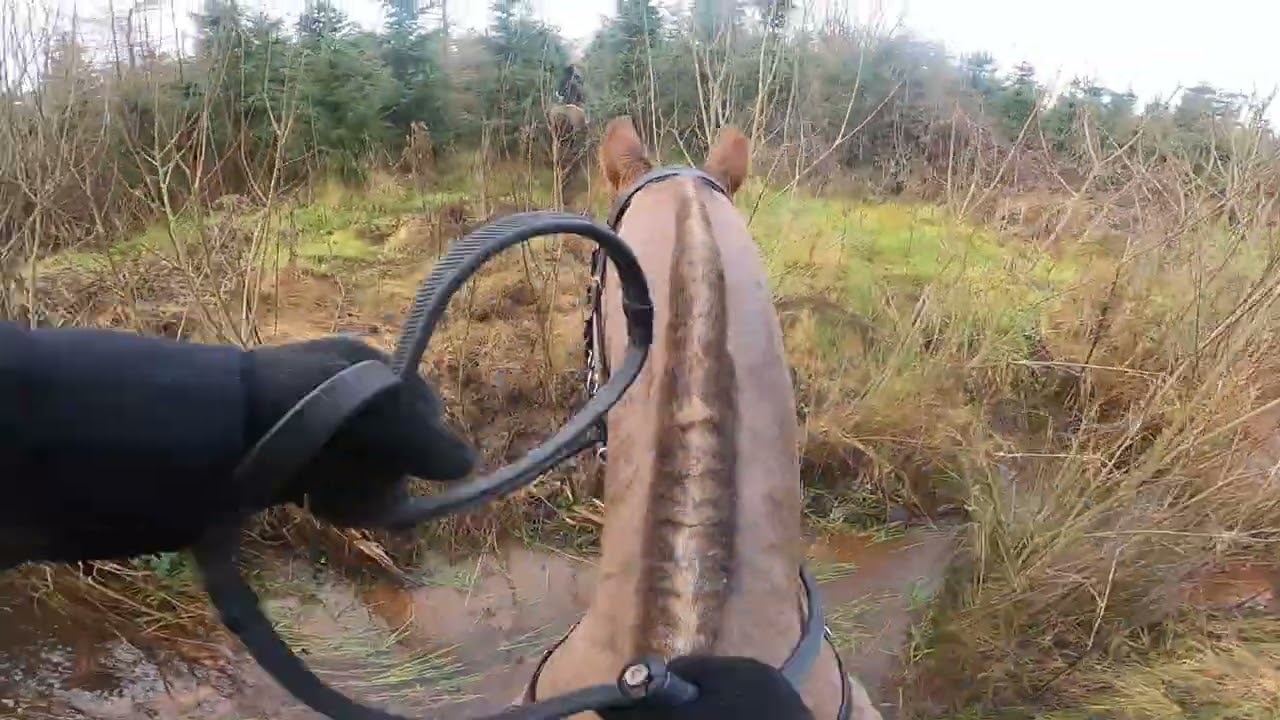 Go Pro footage of 2023 Tipperary Foxhounds Hunt in Ballagh