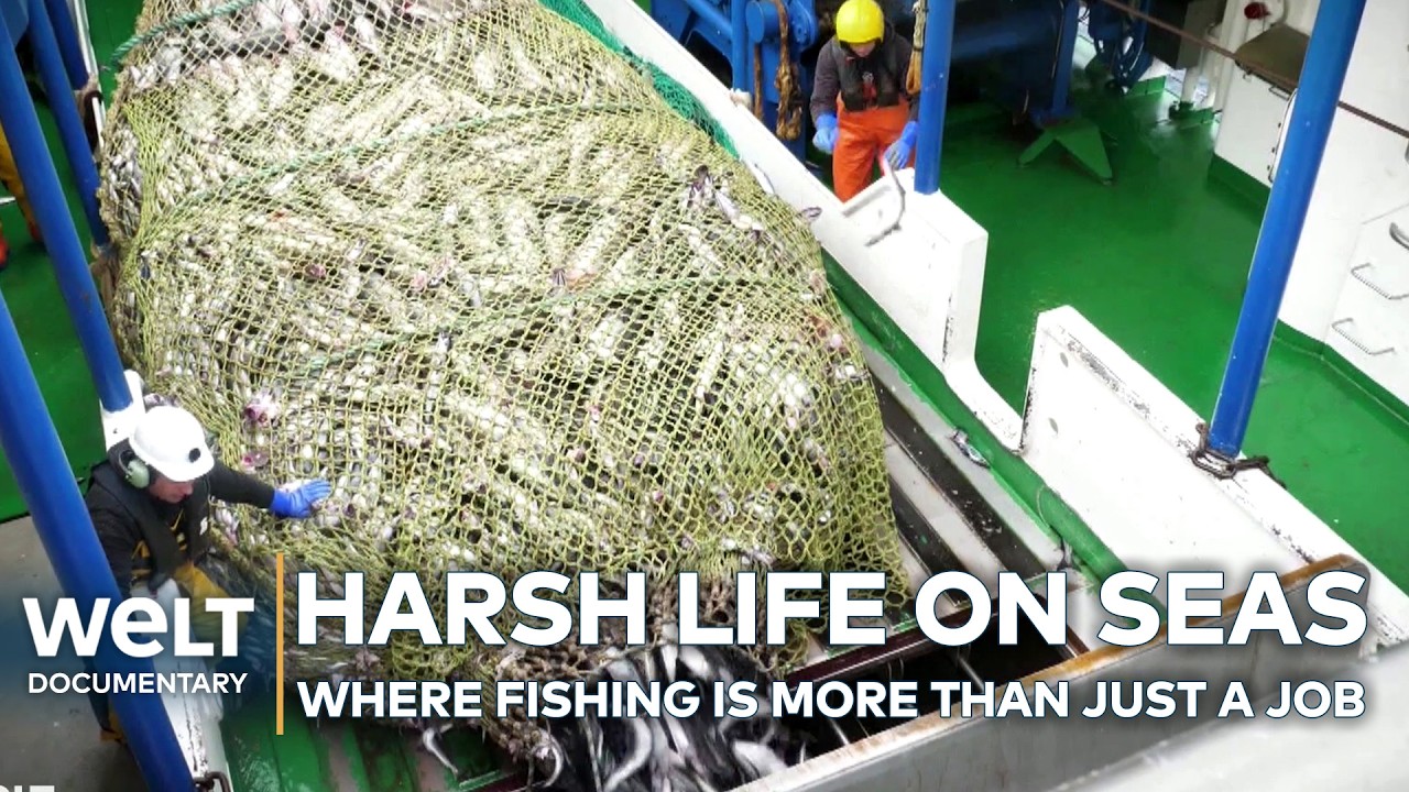 STORMS, STEEL AND POLLOCK: Why Deep-Sea Fishing is a Job for True Risk-Takers | WELT Documentary