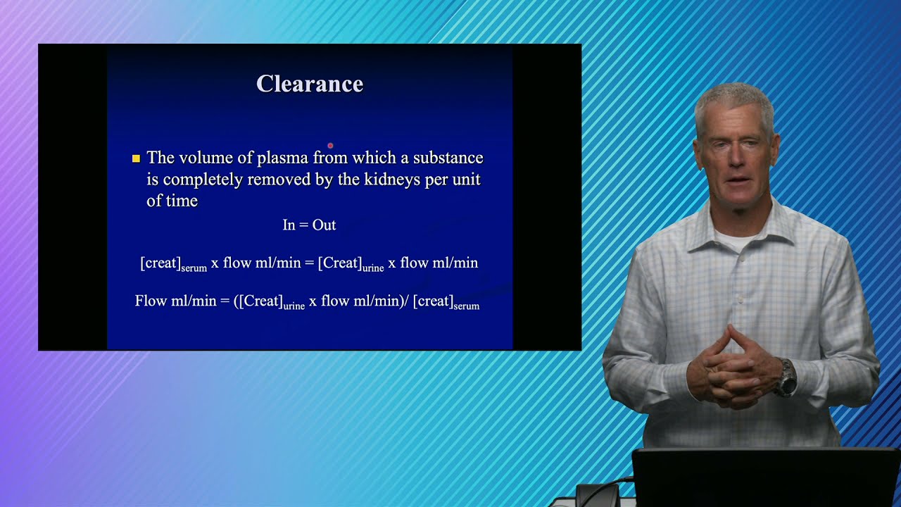Quick Hits in Laboratory Medicine:  Basics of Urea and Creatinine