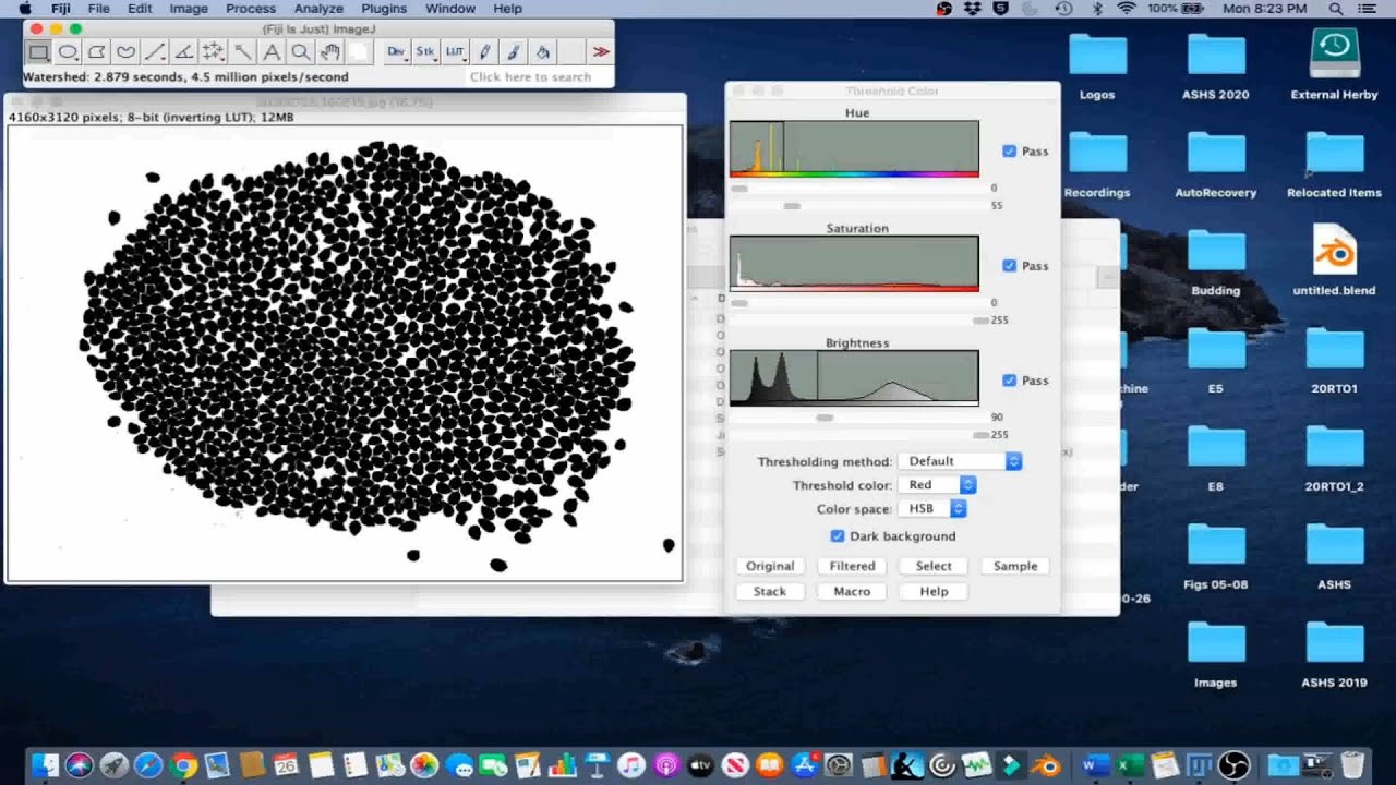 Урок по ImageJ 4 — Методы ручного и автоматического подсчета для садоводческих исследований