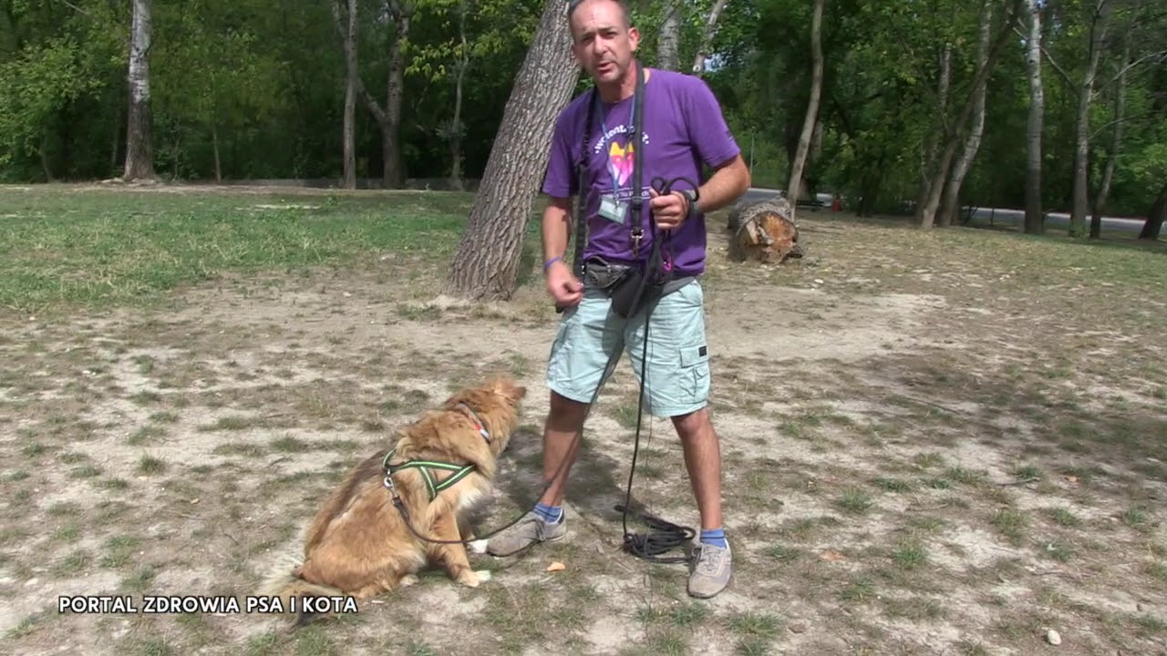 Tim I jego podopieczny Fuks - pies do adopcji. Schronisko na Paluchu