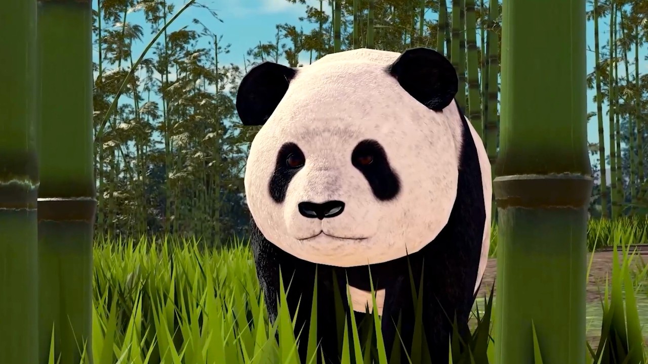 Giant Panda 🐼 Preview - Jungle Life 