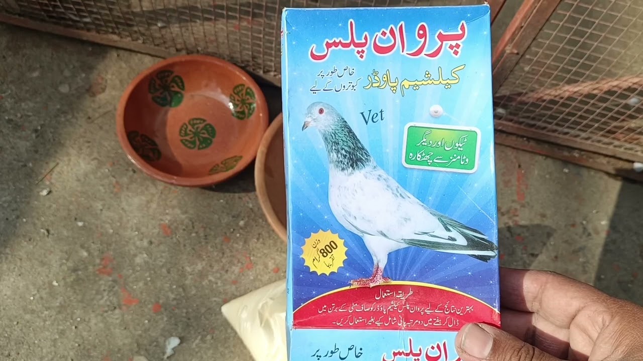 Calcium Powder || Parwan Plus || کیلشیم پاؤڈر پروان پلس کبوتروں کیلیے #love #birds