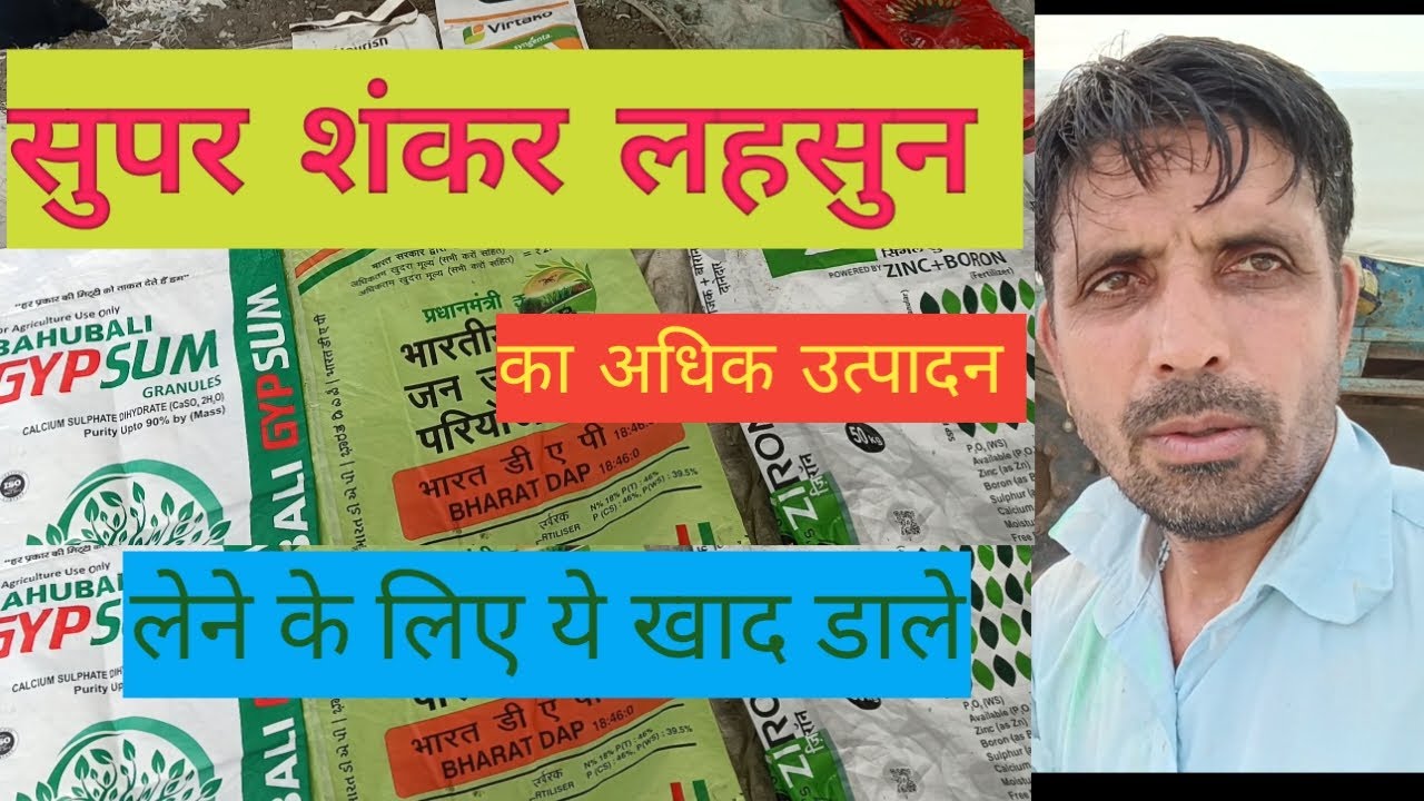 Super Shankar Garlic fertilizer |  lahsun | me khad Dale