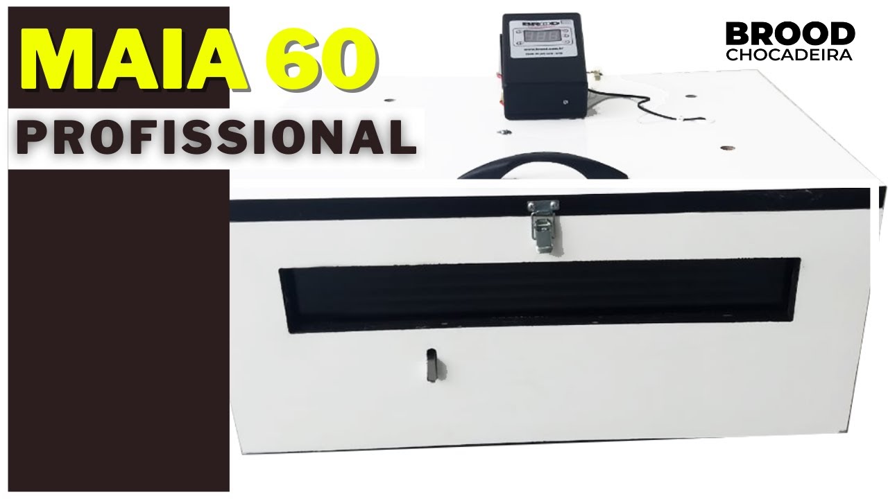 Tudo sobre a Brood MAIA 60. CHOCADEIRA PROFISSIONAL