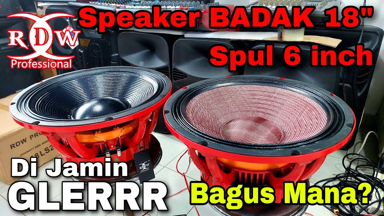Di Jamin HOREG Lur! Speaker Spek Tinggi RDW LS2000 vs LS2000 CBM - Daun CARBON