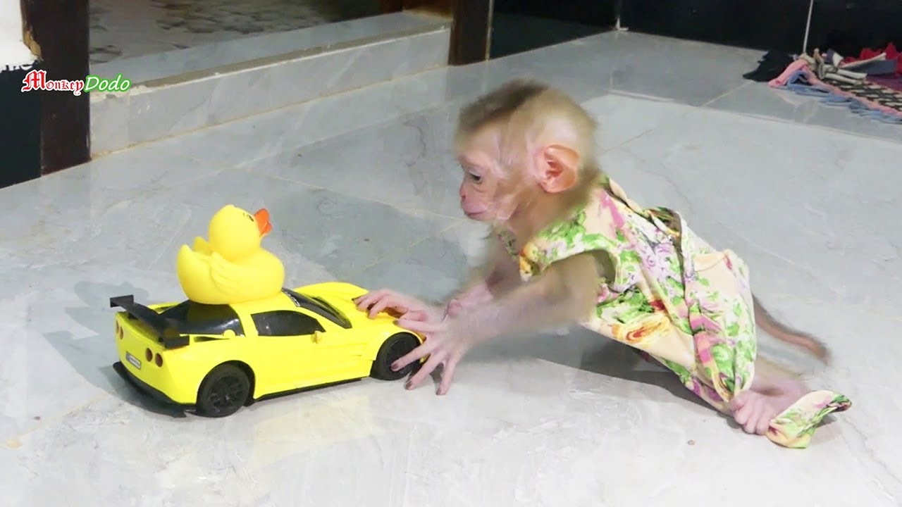 Wow Really Amazing!! Little Queen Jenna Pushing Super Sport Toy Car