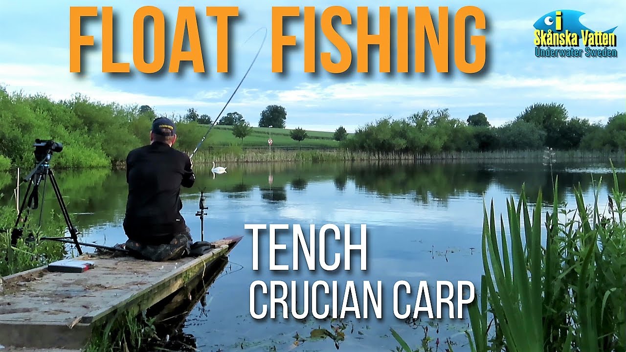 Floatfishing tench and crucian carp / Flötmete efter sutare och ruda