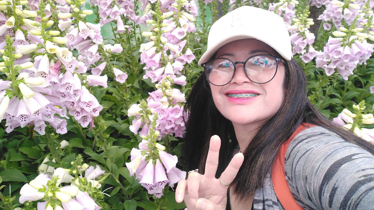 Irene HK vlog is live!WC SC Sunday update.