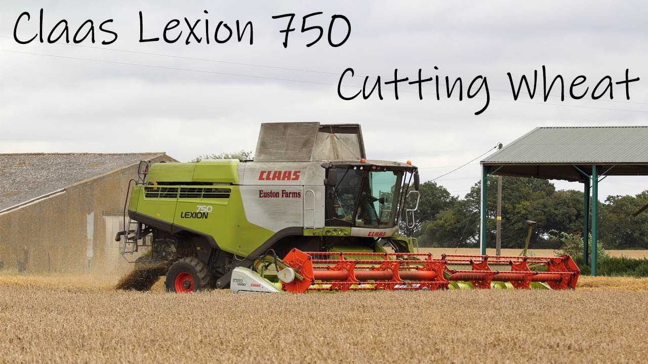 Euston Estate Farms - Lexion 750 harvesting wheat | Harvest 2021