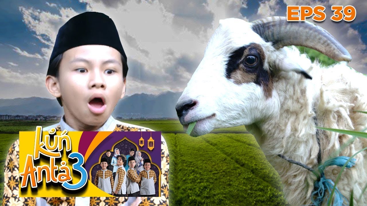 Ih Wouw! Sobri Ketakutan Liat Kambing - Kun Anta 3 Eps 39 PART 1