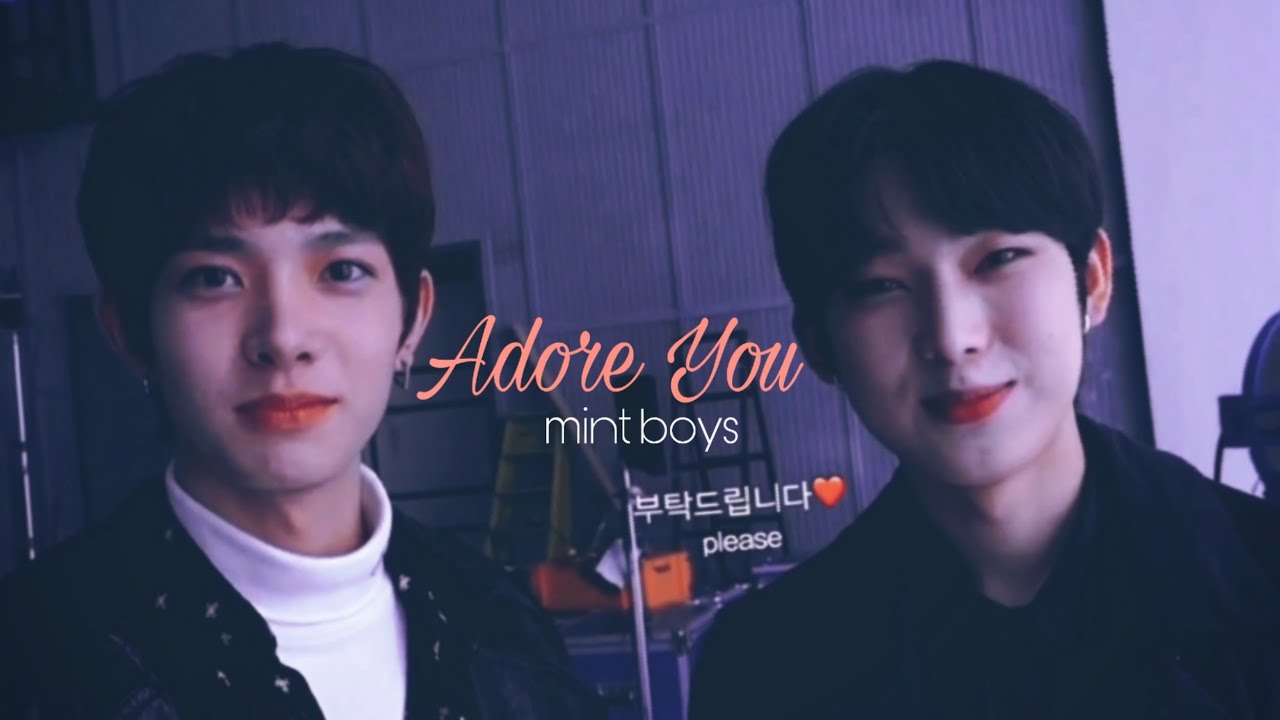 heeseung and sunoo | adore you [enhypen fmv]