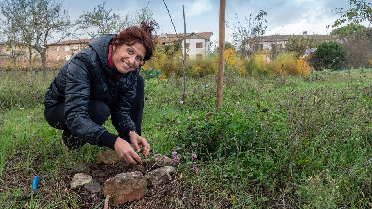 COME PIANTARE UN ALBERO PARTENDO DAL SEME