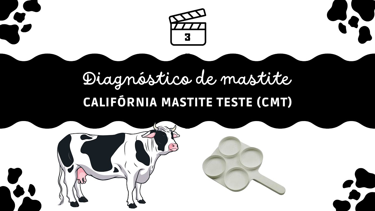 Diagnóstico da Mastite: #3- Teste do CMT (California Mastite Test)