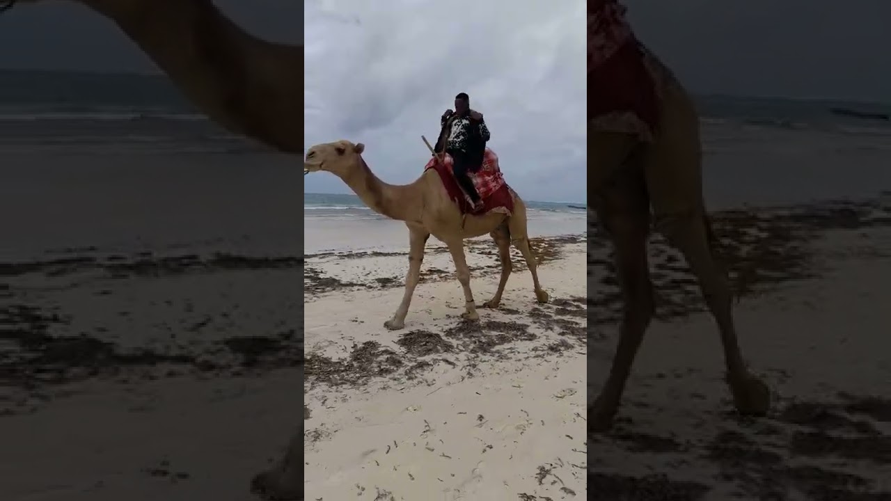 Diani sea 🌊 breeze