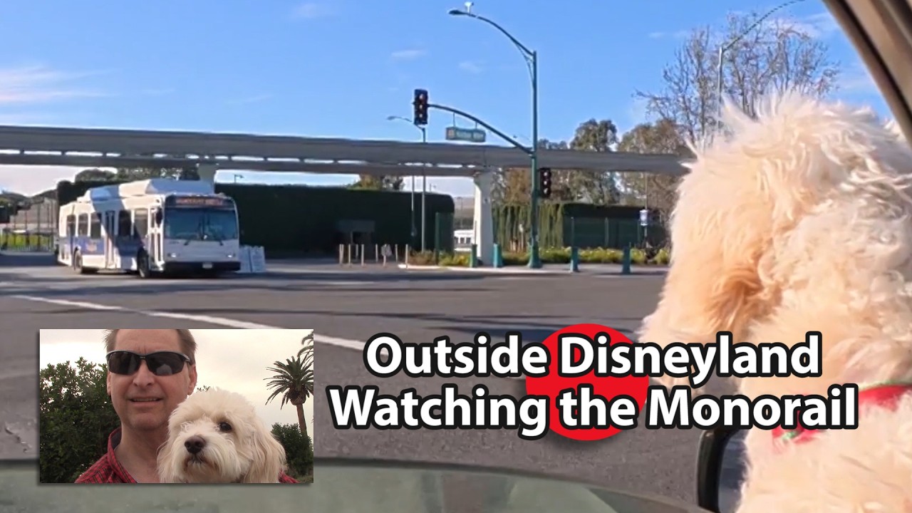 Found a Place Near Disneyland to Eat and View Monorail
