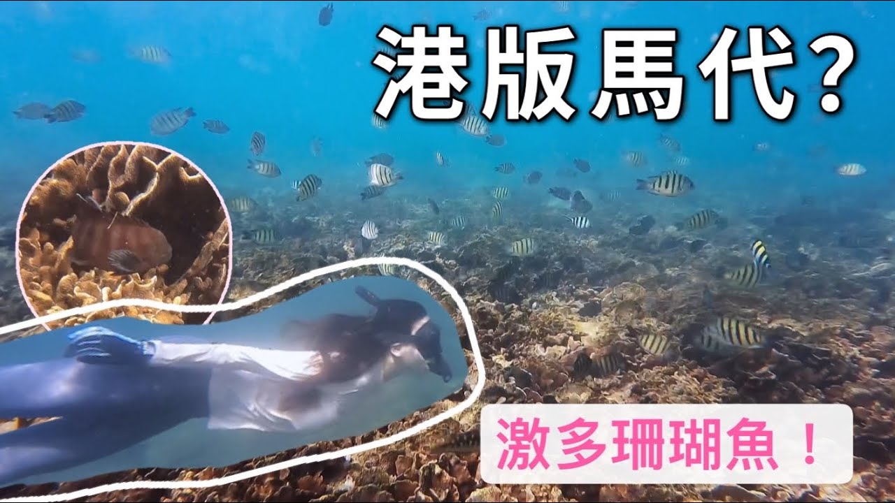 【🦁 港版馬爾代夫】路人望到呆左？激多珊瑚魚！橋咀島一日遊｜Snorkeling in Kiu Tsui Island, Sai Kung
