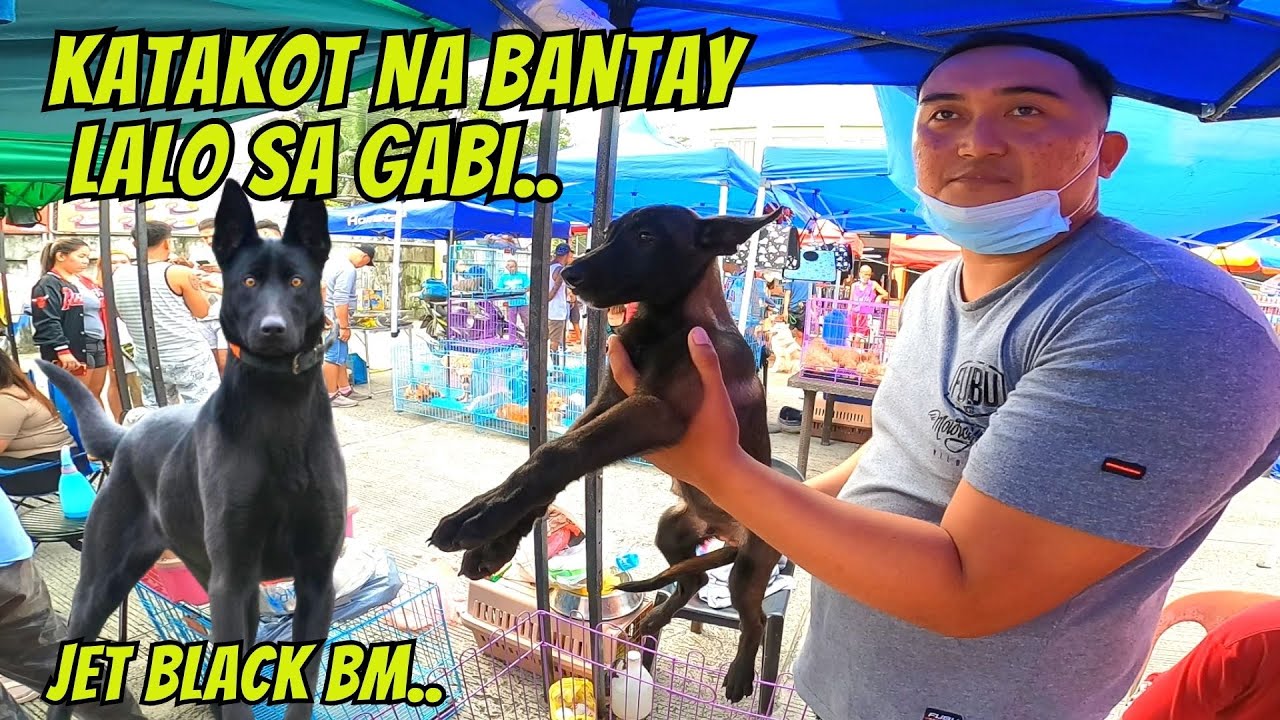 ETO KAYA SUMALUBONG NA BANTAY SA GABI..