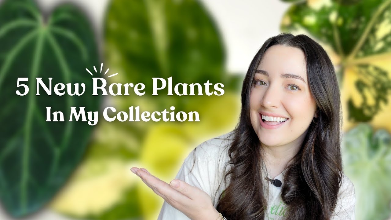5 New Rare Plants in My Collection & Some Repots 🌿