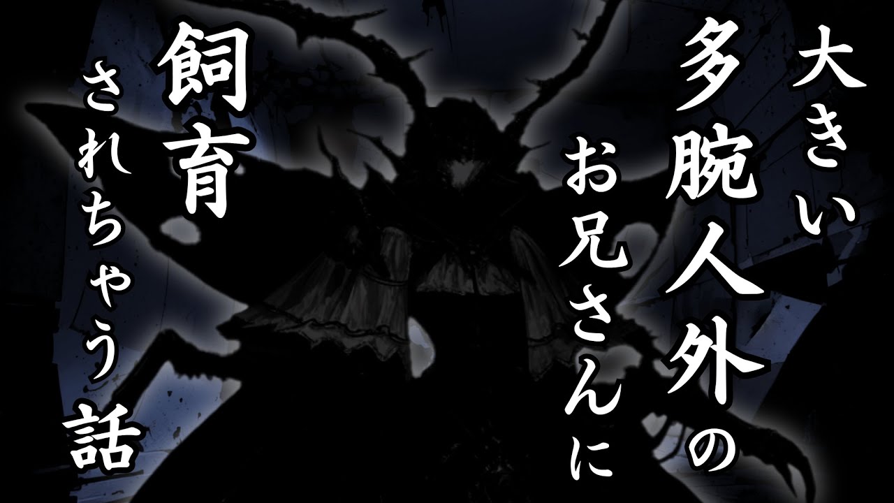 【シチュエーションボイス/ASMR】大きい多腕人外のお兄さんに飼育されちゃう話【色巴黒色/Vtuber】