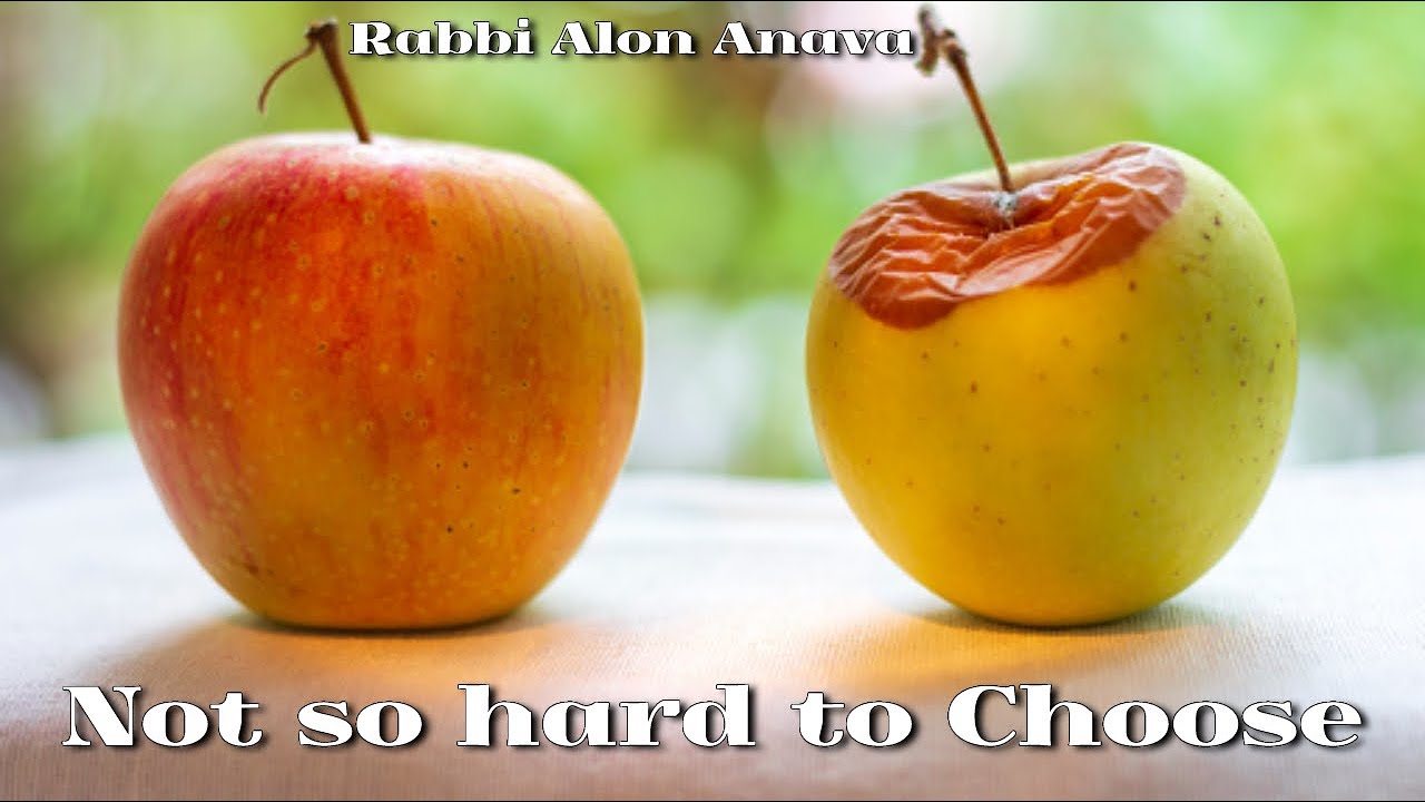 Do we have free choice? Is It so hard to see the difference between good and bad? - Rabbi Alon Anava