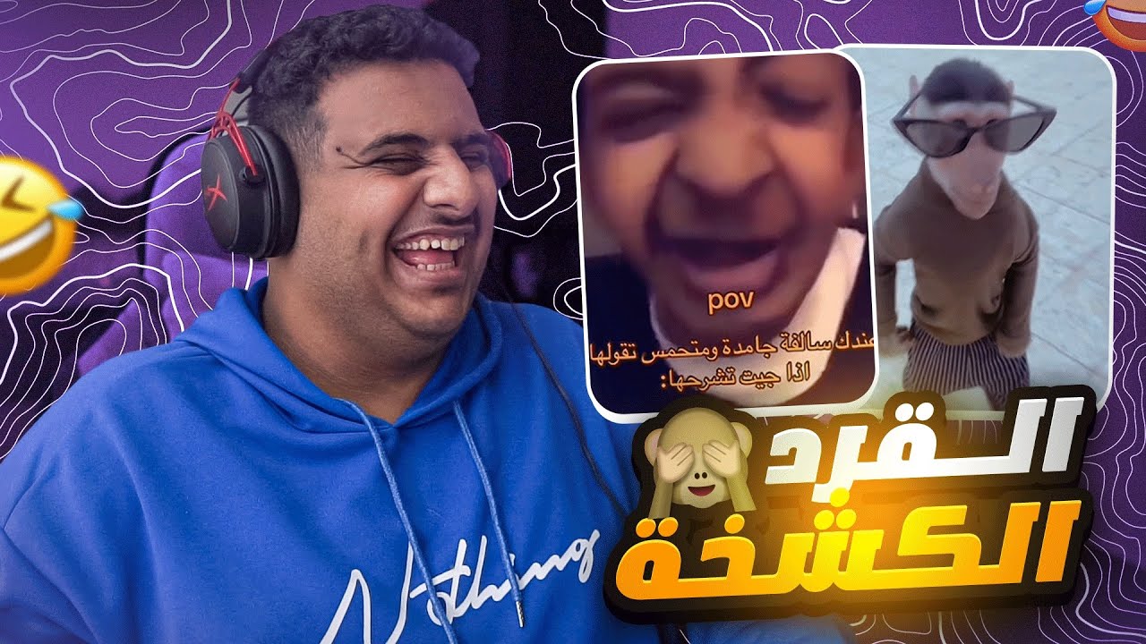 ميمز التيك توك | القرد الكشخة😂💔