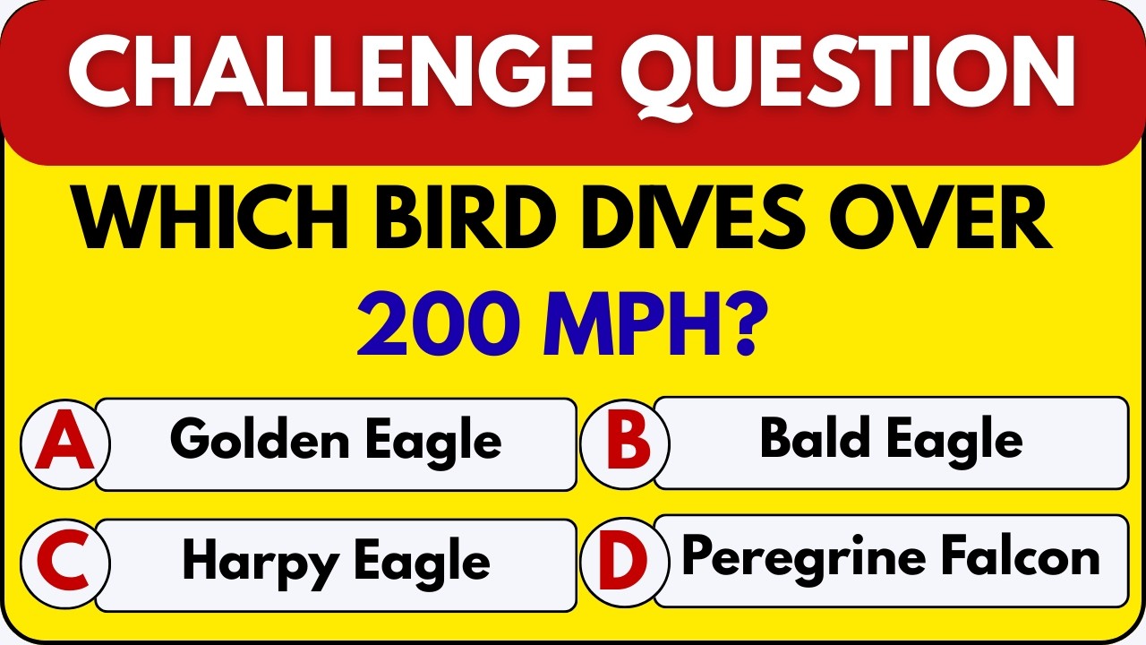 Quiz Game: General Knowledge 🧠 | 15 Questions to Test Your Brain | SharpMind Quiz