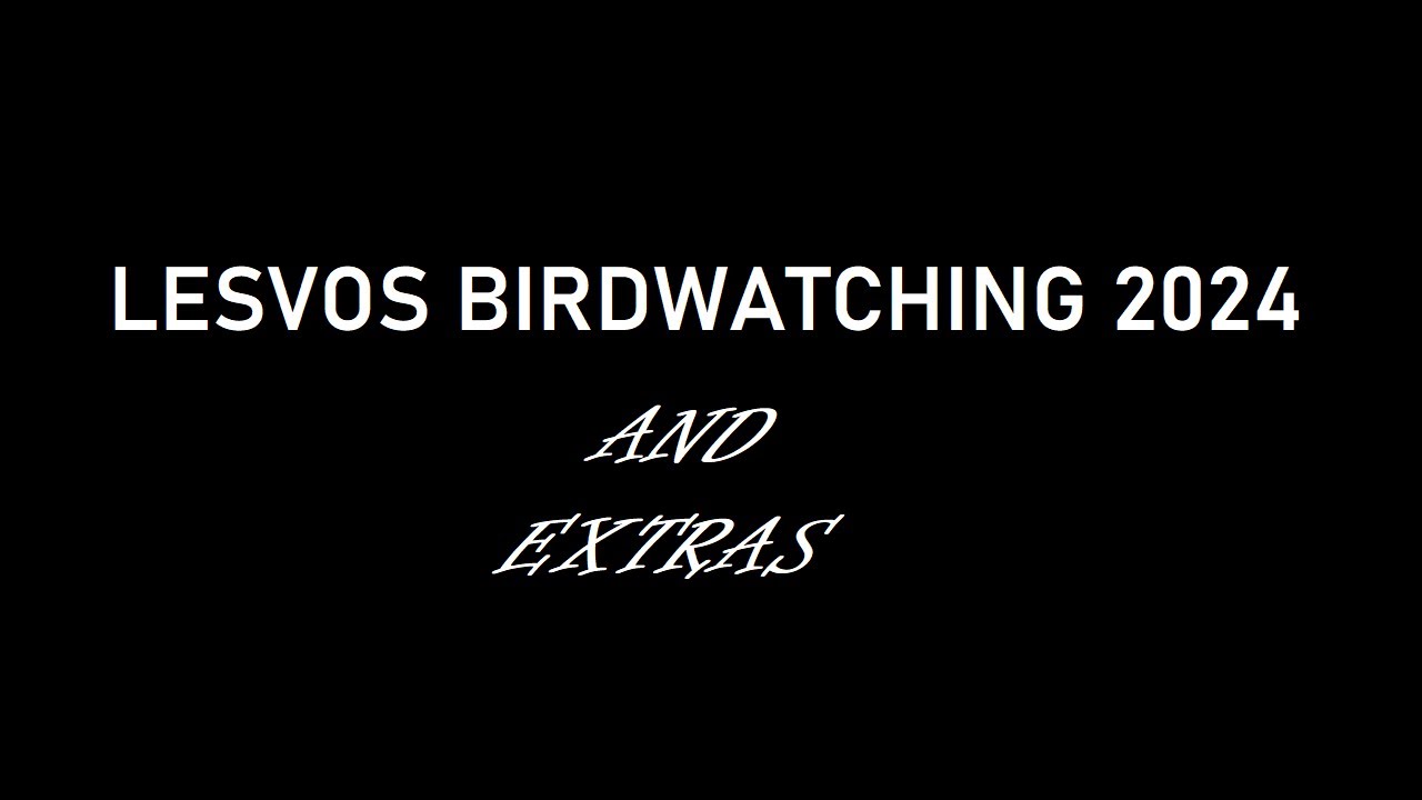 Lesvos Birdwatching 2024 and Extra