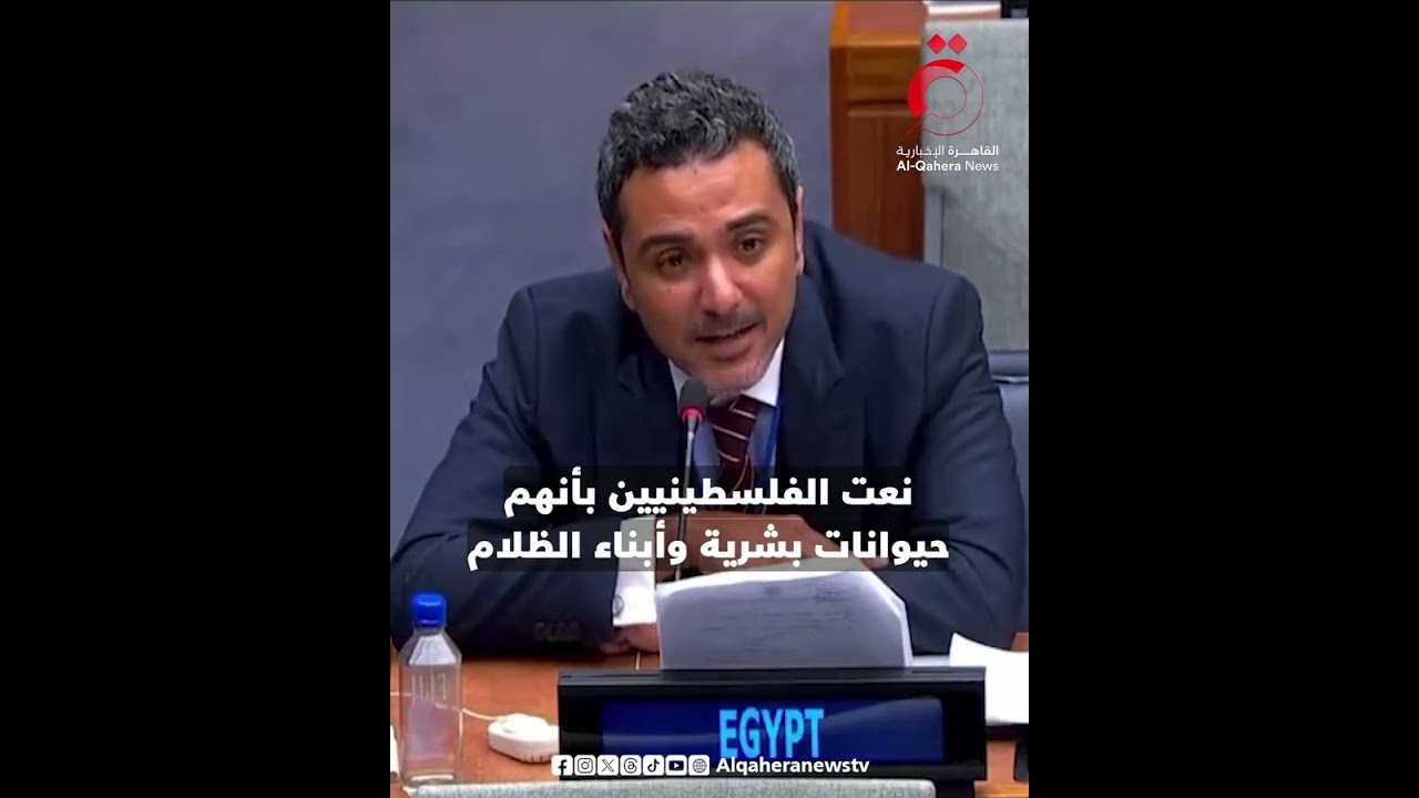 رد مصري على وفد إسرائيل في الأمم المتحدة