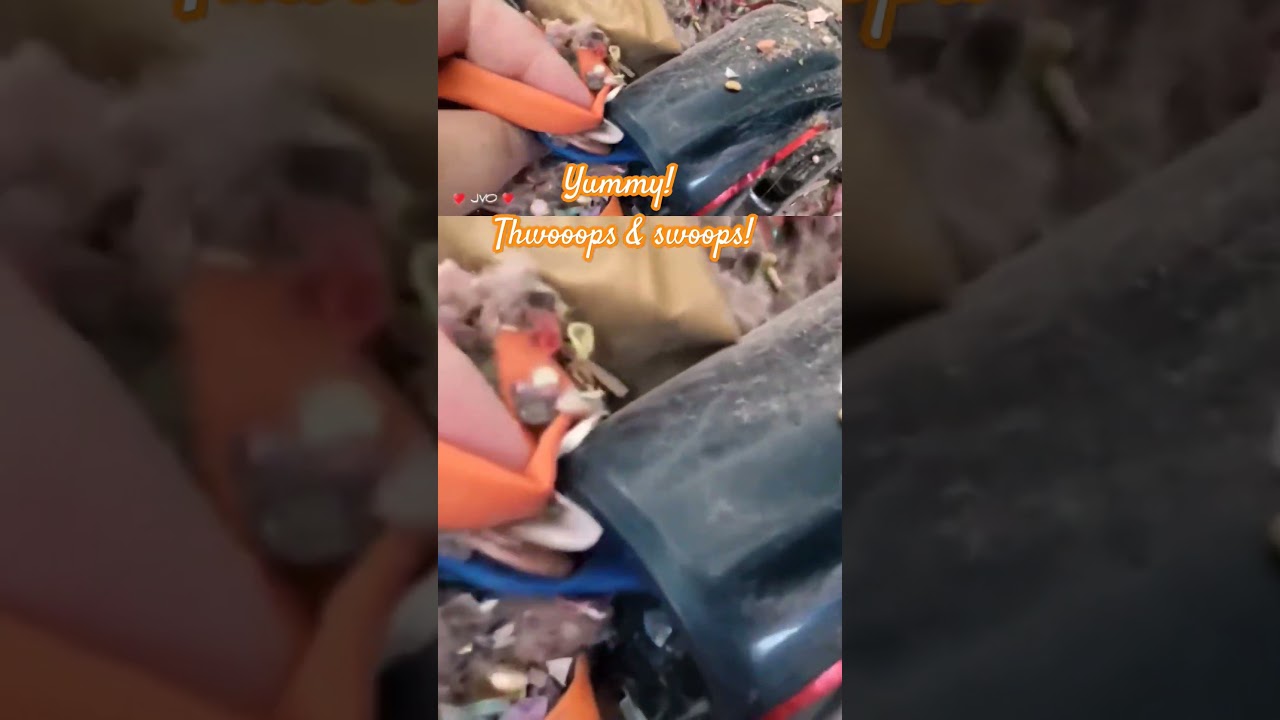 #asmr #vacuumobsession #satisfying #asmrvacuuming #vacuumingasmr #vaccommunity #ytshorts #shorts