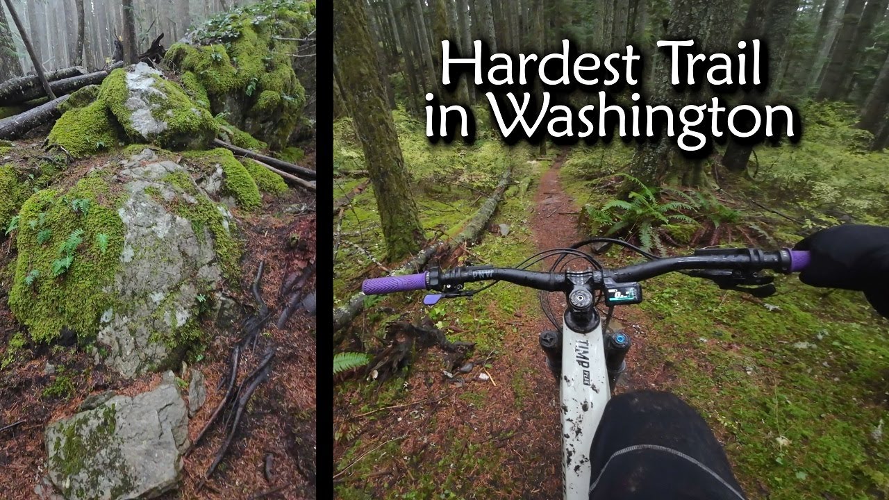 Pinkbike doesn't think this video should exist || The Horn