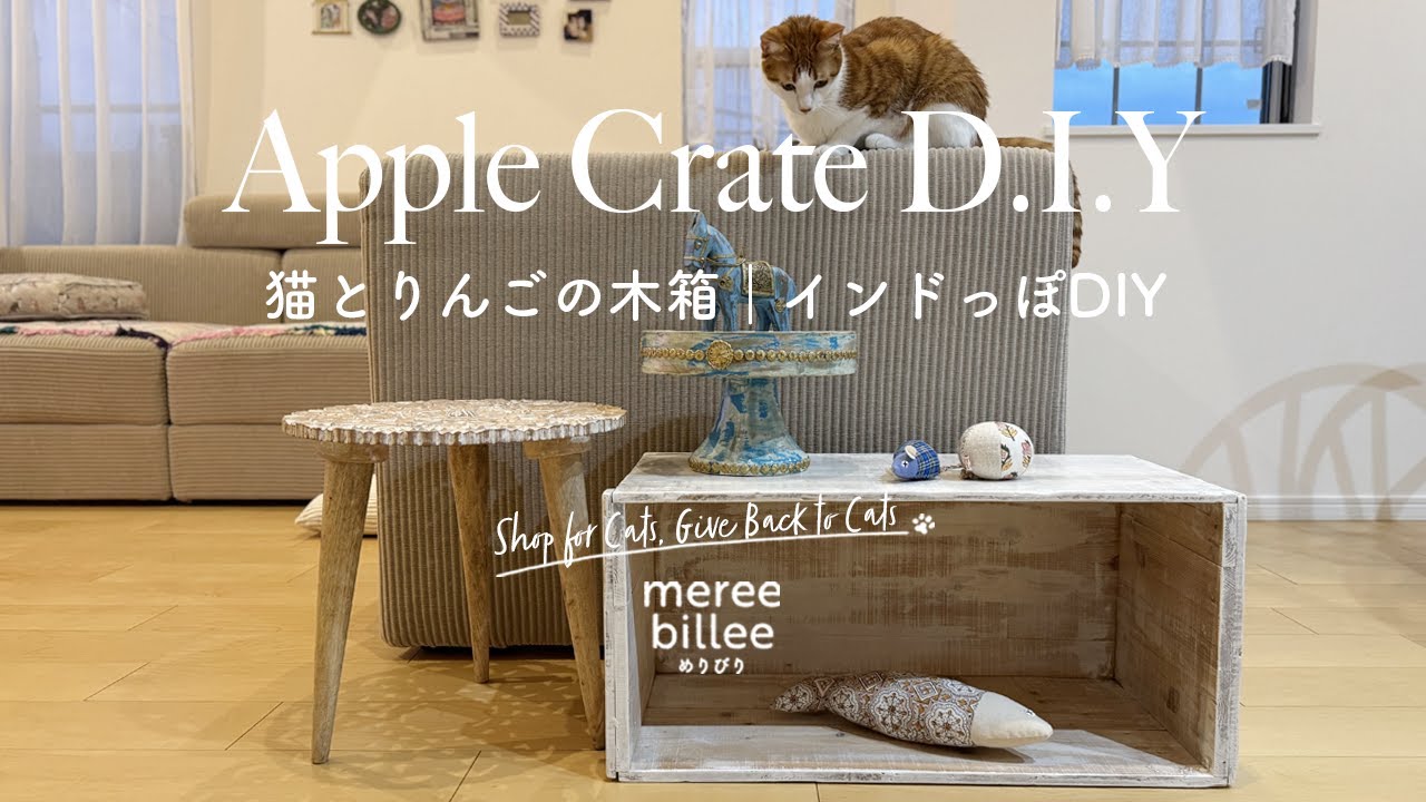 猫イベント用にりんご箱DIY｜慎重猫がしっかり検品