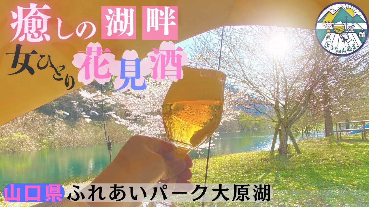 【ソロキャンプ】桜満開お花見キャンプ！ソロティピー1TCバージョンin山口県ふれあいパーク大原湖