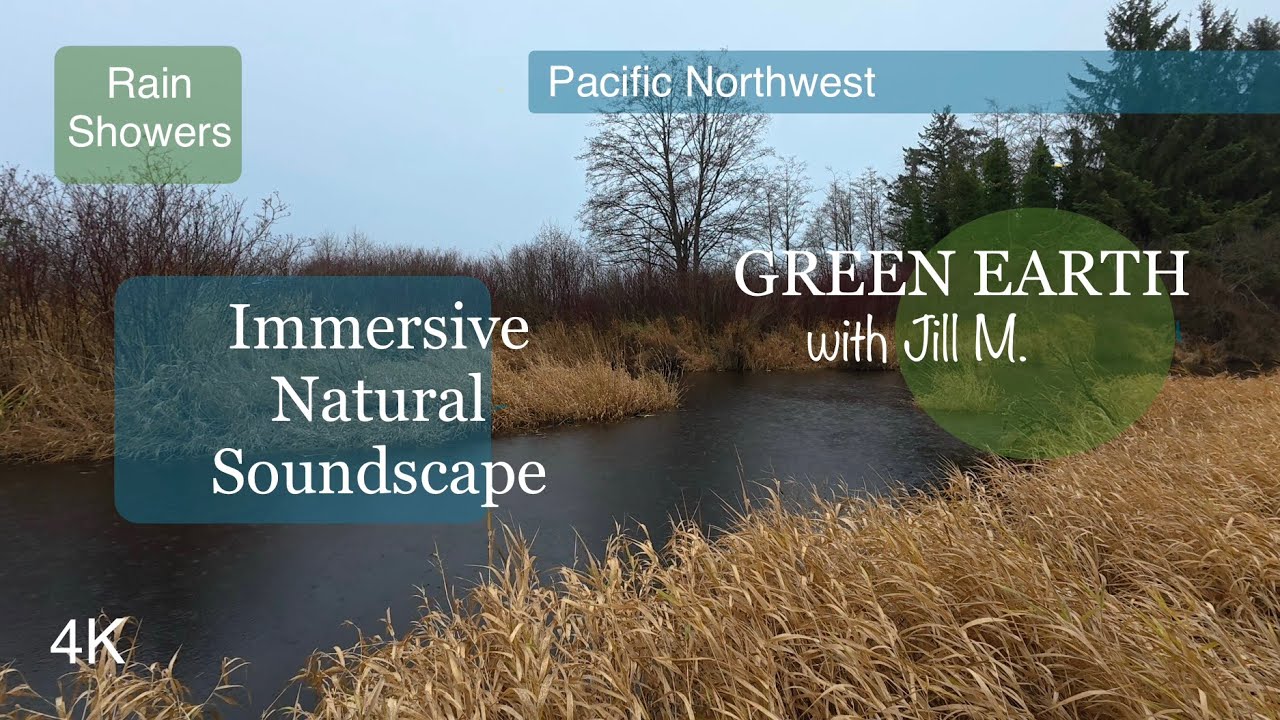 Nature Soundscape:  Rain Showers on Dark Wetland Waters  -December