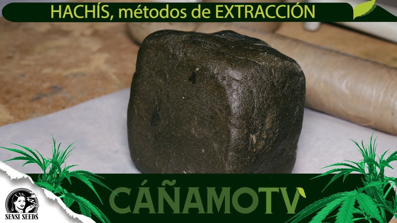 HACH&Iacute;S, m&eacute;todos de EXTRACCI&Oacute;N en seco (c&oacute;mo hacer hash)