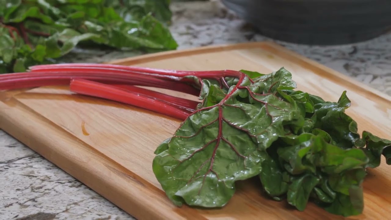 Colorado gardening for beginners: what actually grows here?