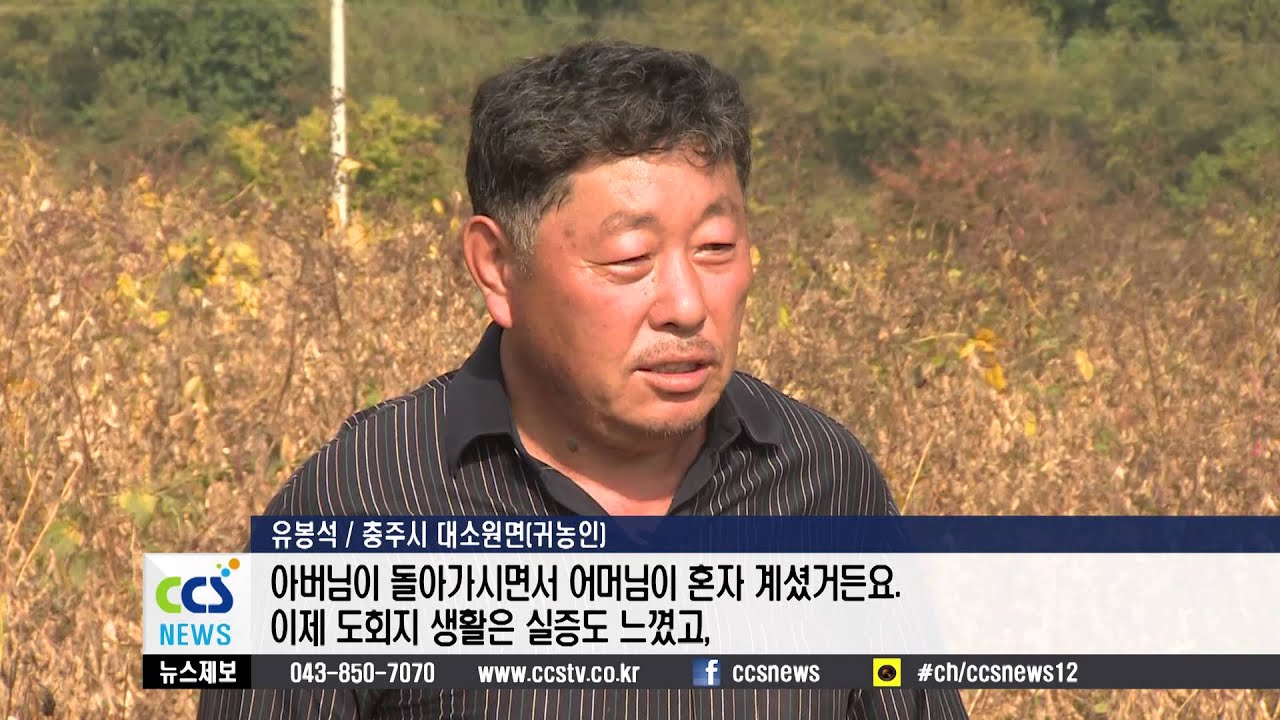 콩 대량 재배로 부농꿈 이룬 유봉석씨 - CCS충북방송